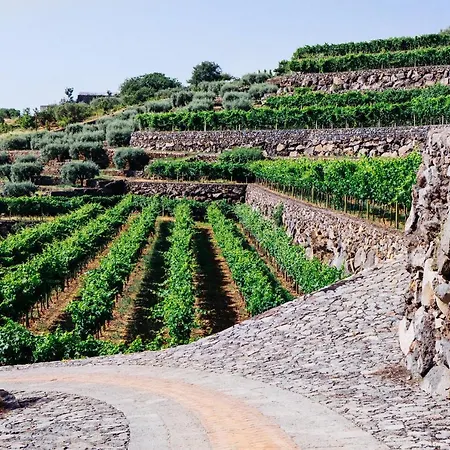 La Gelsomina - Etna