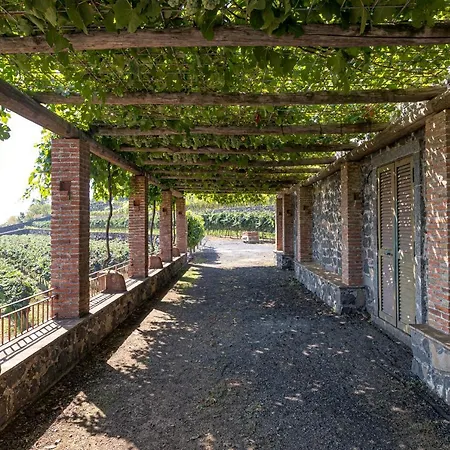 La Gelsomina - Etna Farm stay