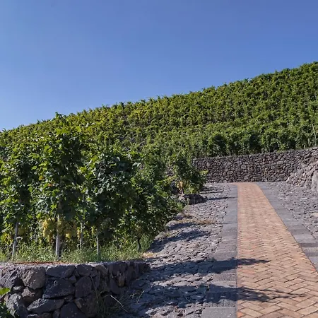 La Gelsomina - Etna Presa