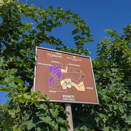 La Gelsomina - Etna Alloggio per agriturismo Presa